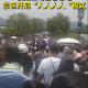 人從眾，西湖斷橋五一假期變“人橋”，有人在高速上遛狗，你還想出門么