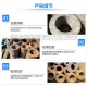 防水翼環(huán)使用廣泛，那么你知道防水翼環(huán)的設(shè)計(jì)理念和特點(diǎn)嗎？
